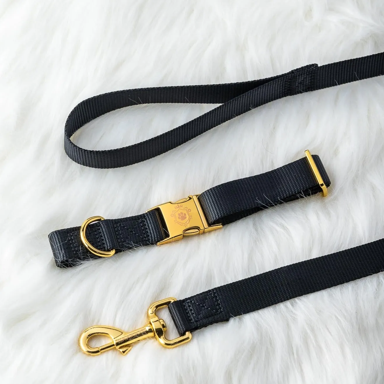 Lilo Gold Leash