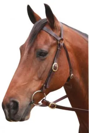 Showcraft Barcoo Bridle