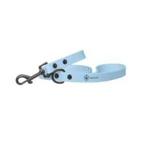 Sky Blue Leash