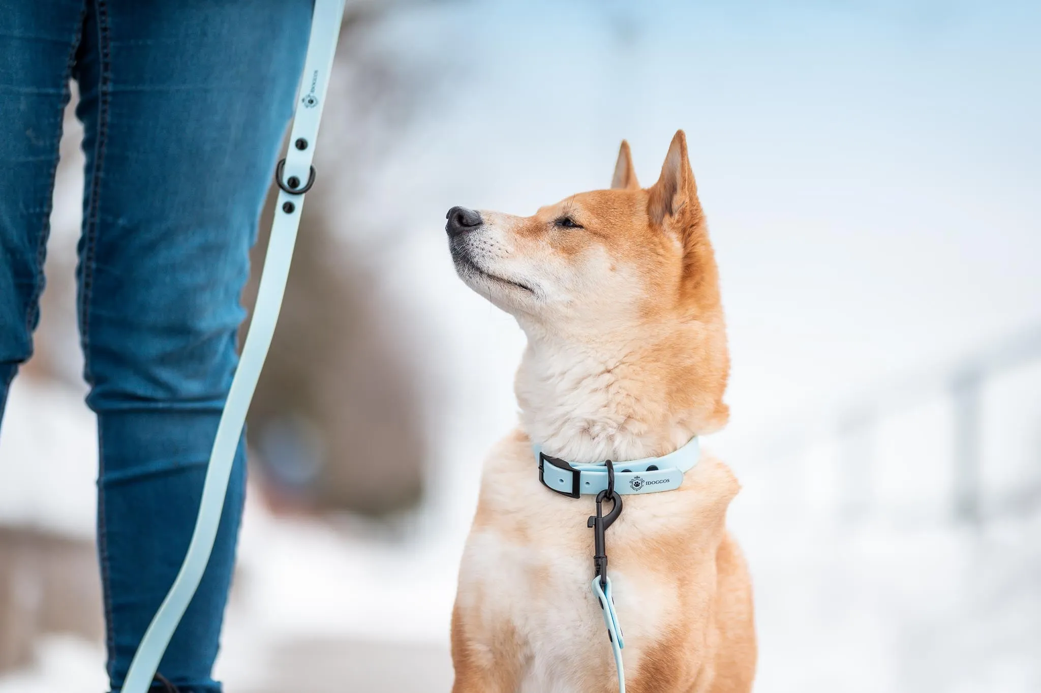 Sky Blue Leash