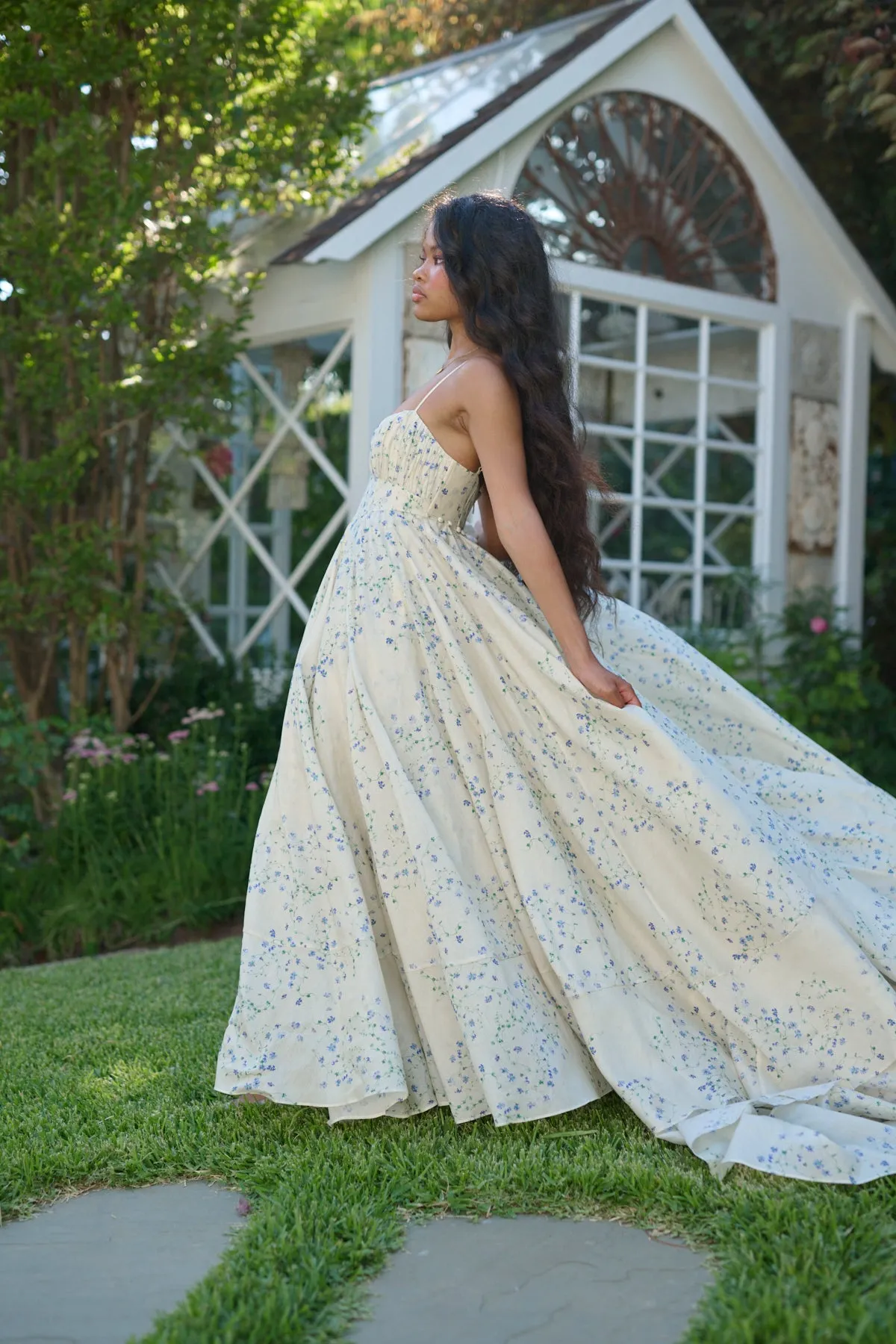 The Blue Vine Roman Holiday Gown