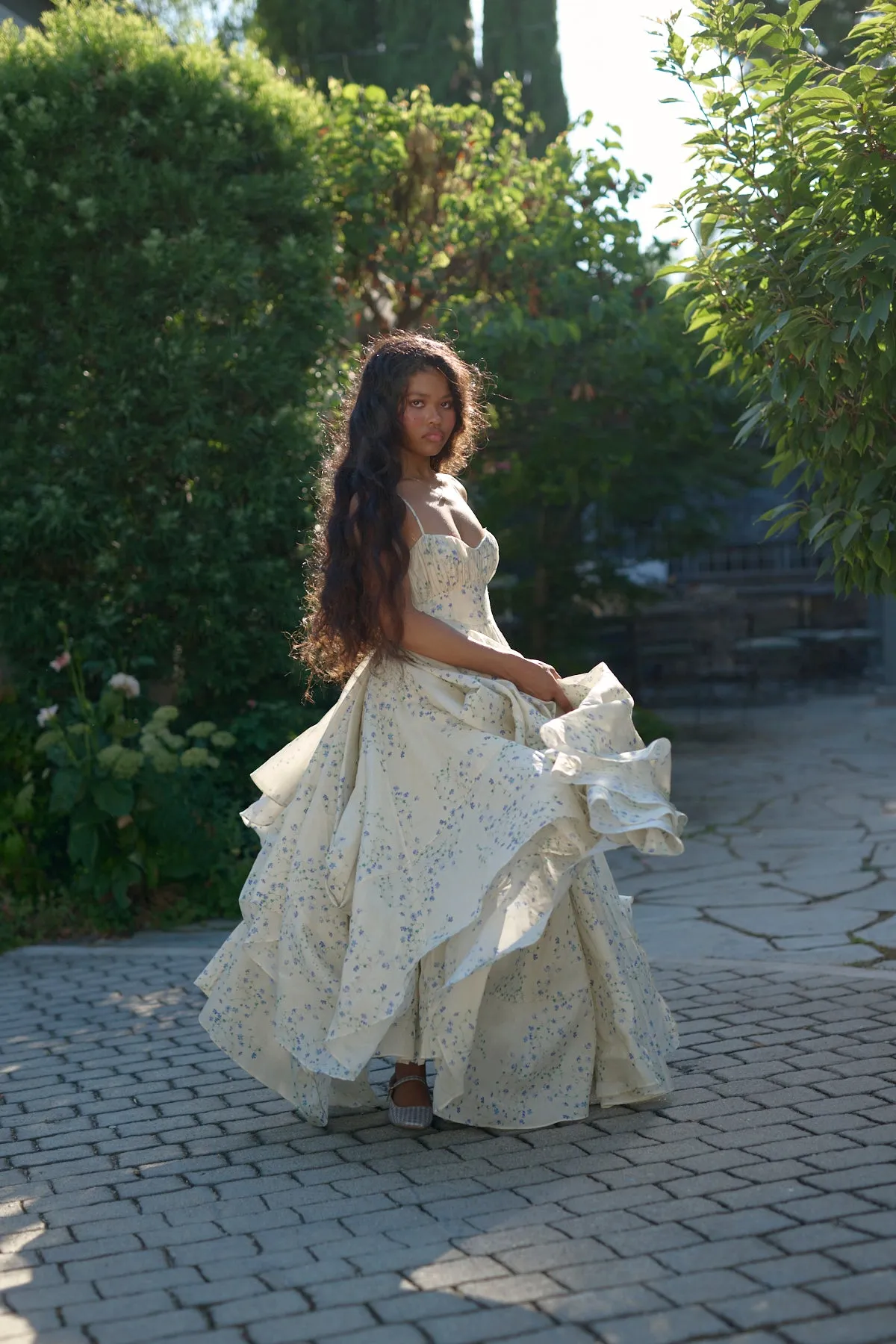 The Blue Vine Roman Holiday Gown